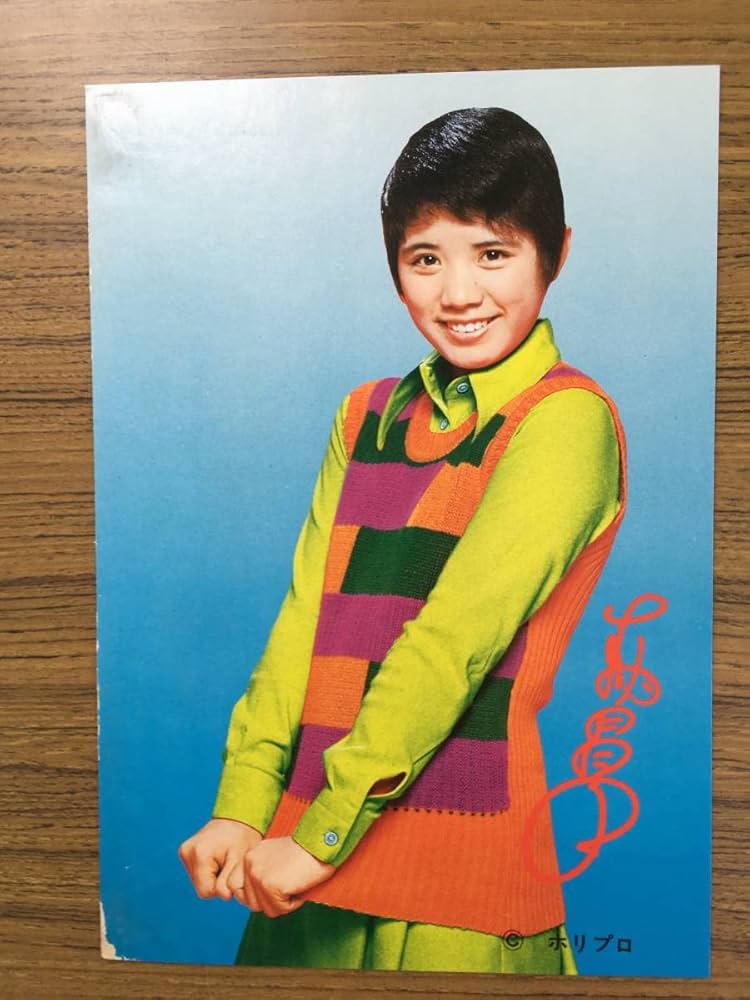 ❀森昌子 写真集 雑誌 本 昭和レトロ パンフレット フォト プロマイド❀ Amazon.co.jp: 昭和レトロ 森昌子 ブロマイドサイズ175mm×250mm